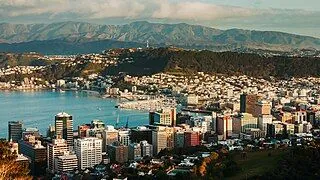 wellington