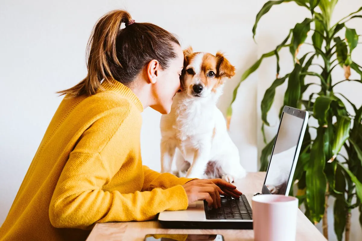 Midlife Women Embrace Side Hustles: From Dog Breeding to Divorce Coaching