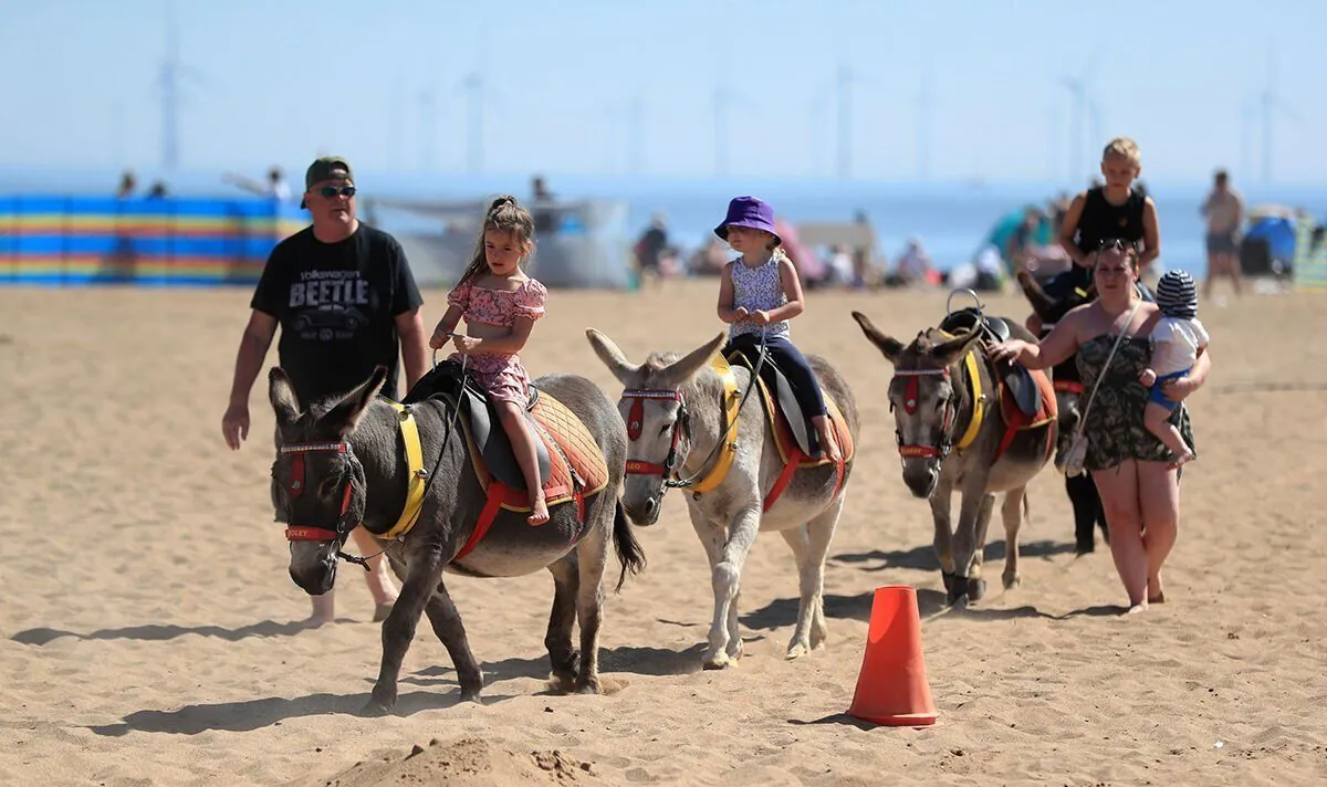 Petition to Ban Donkey Rides Sparks Debate Among British Beachgoers