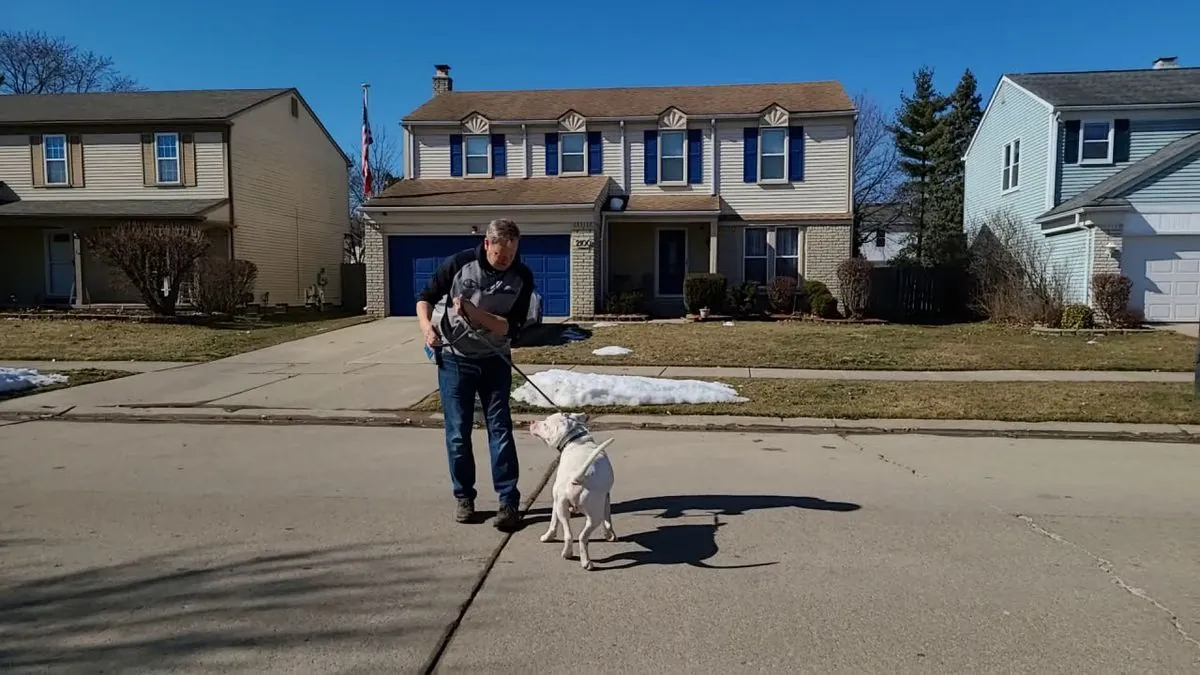 fatal-dog-attack-in-worcestershire-two-american-bulldogs-at-large