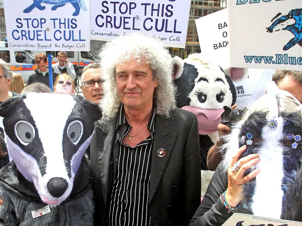 bbc-faces-criticism-over-brian-mays-badger-culling-documentary