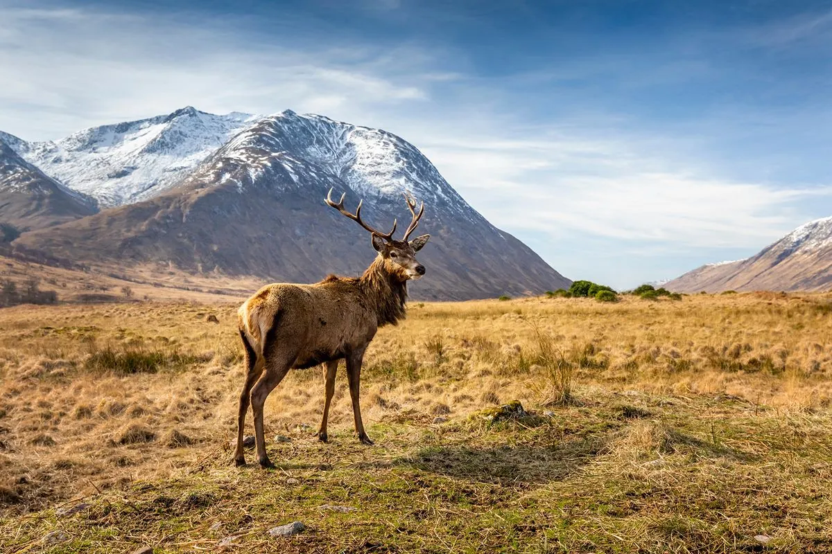 scotland-diverts-pound5m-from-nature-fund-to-council-pay-amid-budget-cuts