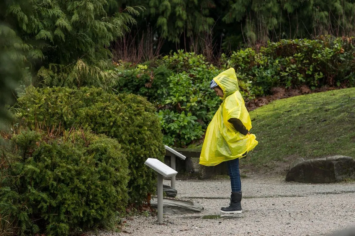 Theme Park Boss: Rainy Days Offer Superior Visitor Experience