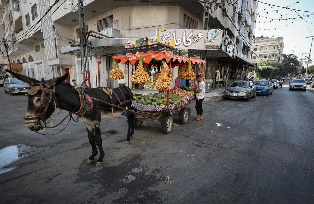 Gaza Crisis: Donkeys Become Lifeline Amid Devastation and Fuel Shortages