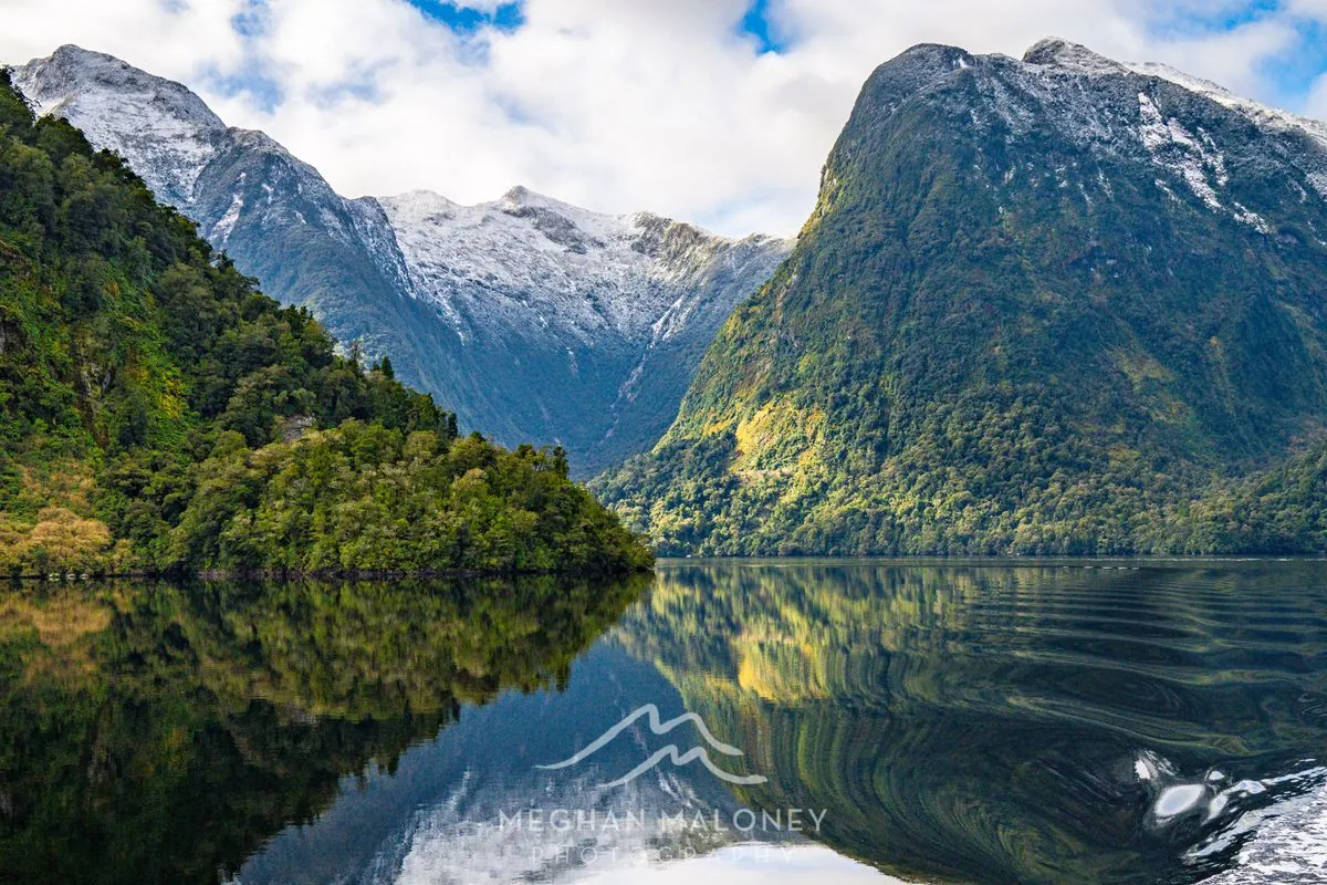 New Zealand Triples Tourist Entry Fee, Sparking Industry Concerns