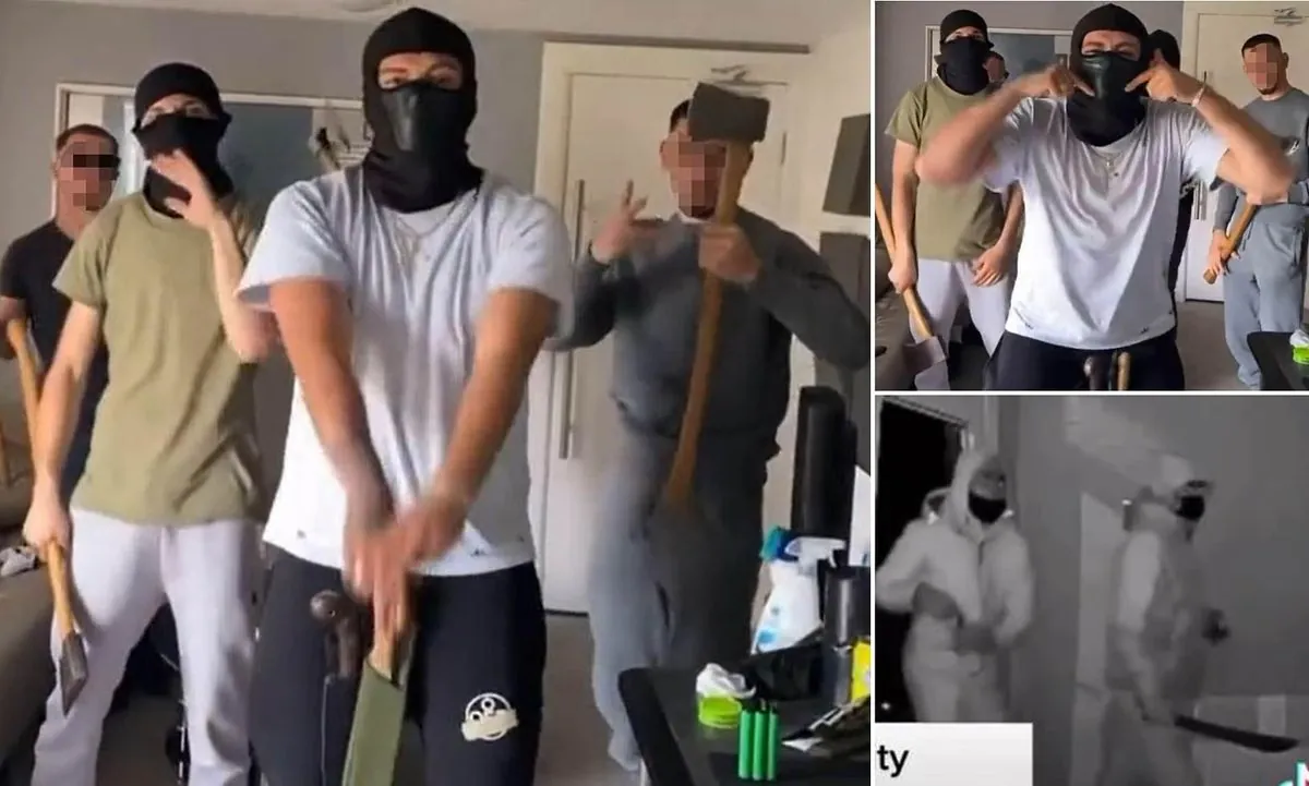 Albanian Drug Gangs Recruit Cannabis Farmers on TikTok Amid UK Labor Shortage