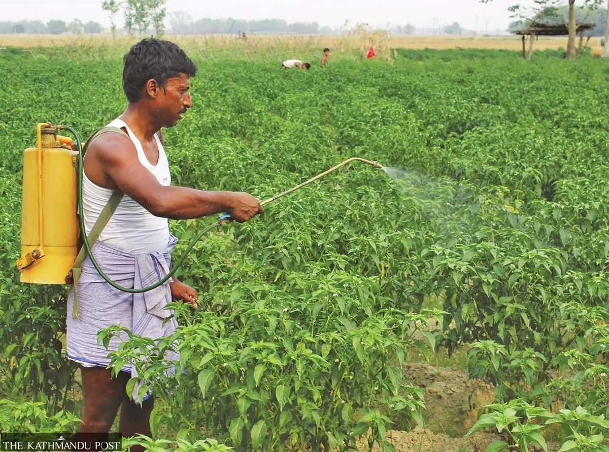 Nepal's Pesticide Ban: A Crucial Step in Suicide Prevention