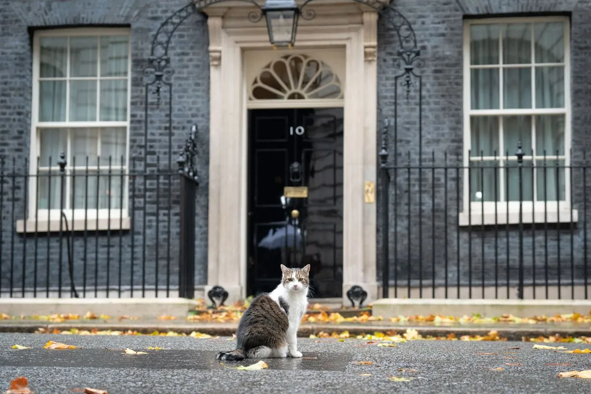 Downing Street Cat Larry Snubs New Cabinet's Photo Attempts