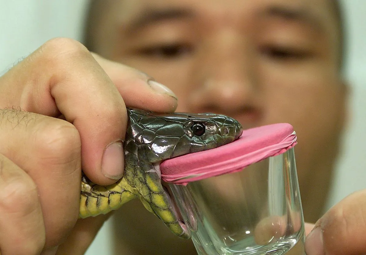 Venomous Snake Influencer's Near-Fatal Bite Sparks Controversy