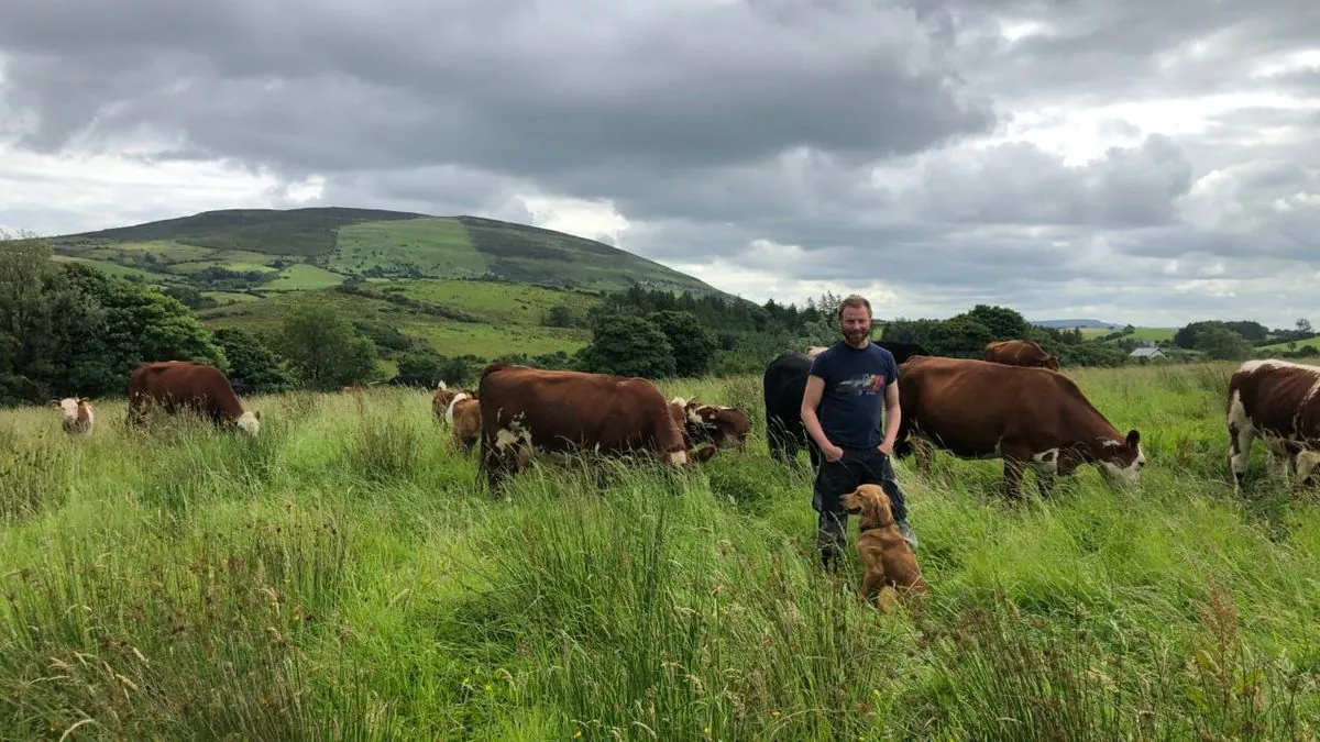 New EU Deforestation Rules Spark Concerns Over Northern Ireland Beef Trade