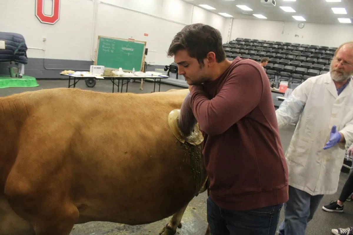 french-scientists-unveil-breakthrough-in-low-methane-cow-breeding