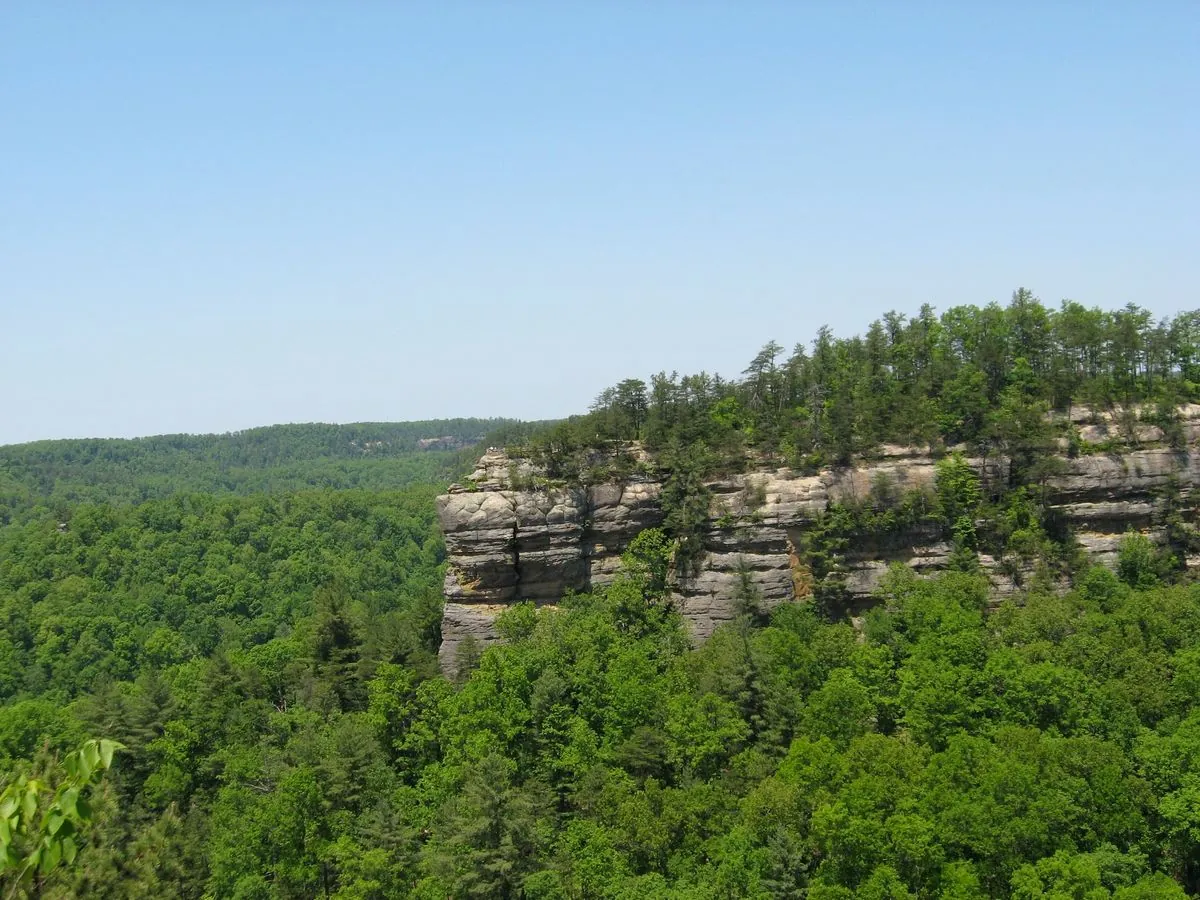 couple-finds-suspected-shooters-remains-in-kentucky-forest