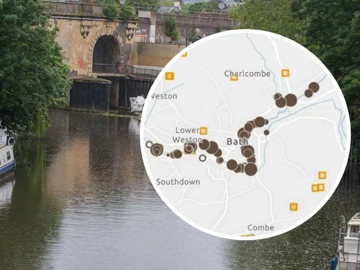 swans-swim-in-suspected-sewage-spill-on-river-avon-in-bath