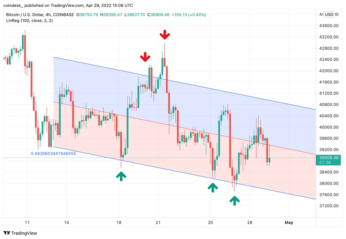 crypto-gamblers-bet-big-on-trumps-2024-election-chances