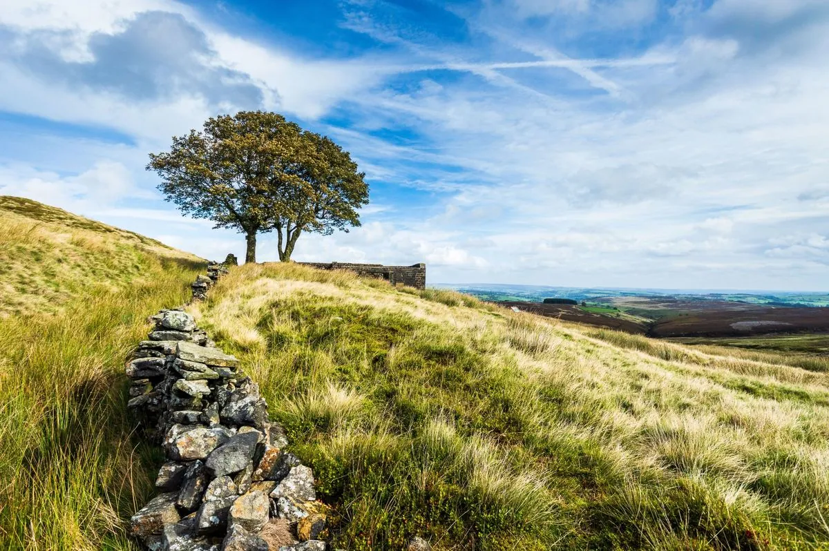 Wuthering Heights Film Casting Sparks Debate: Beauty vs. Authenticity