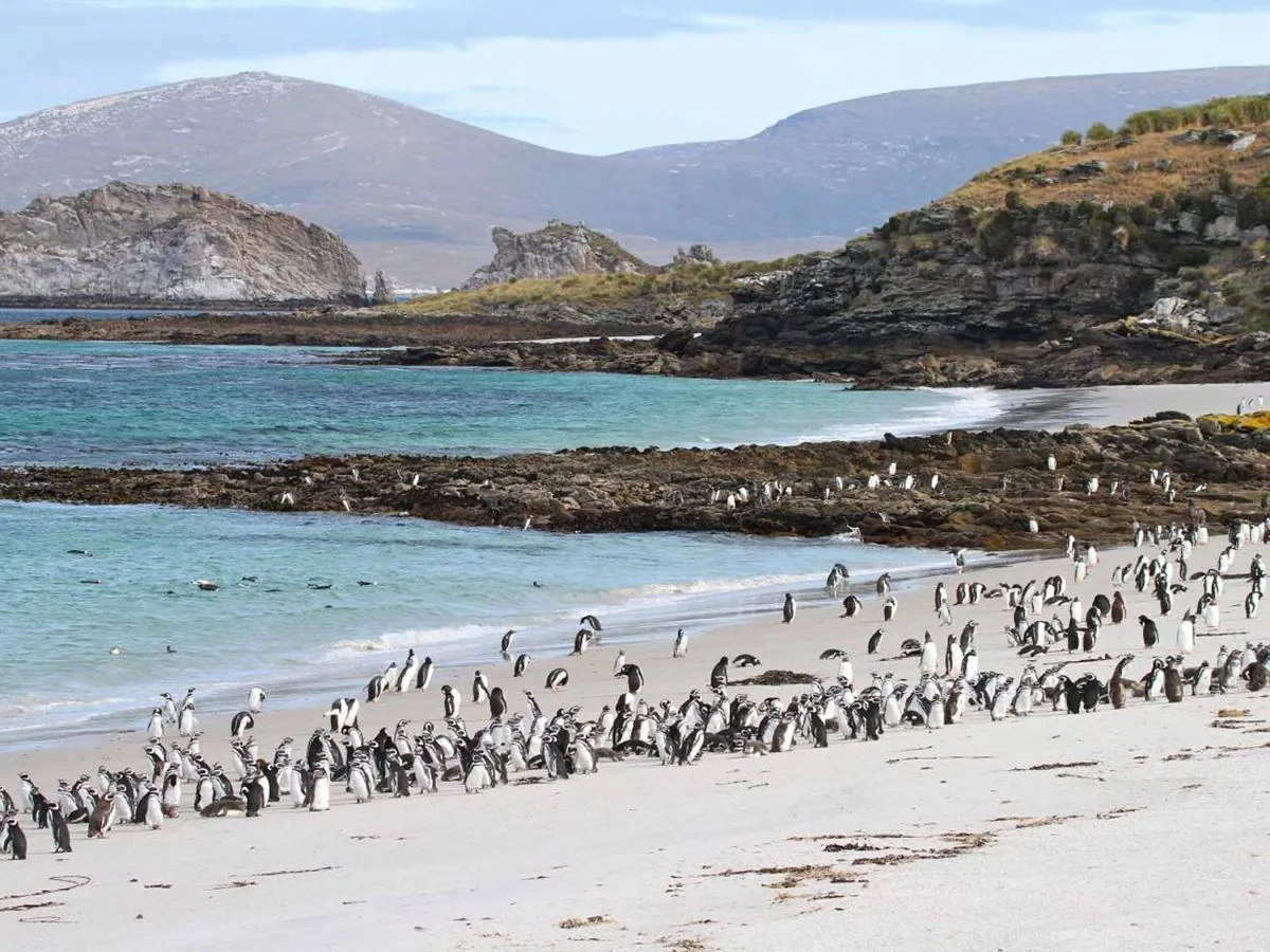 UK and Argentina Agree to Resume Falklands Flights After Four-Year Hiatus