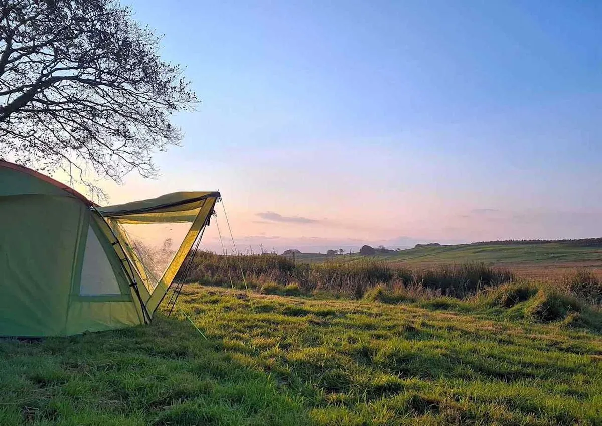 Tragic Camping Trip: Boy and Grandfather Found Dead in Tent