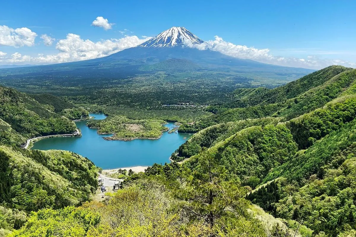 japan-deploys-drones-to-combat-rising-suicides-in-mount-fuji-forest