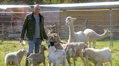 Egyptian farmer's alpaca shelter plan creates stir in million-pound village