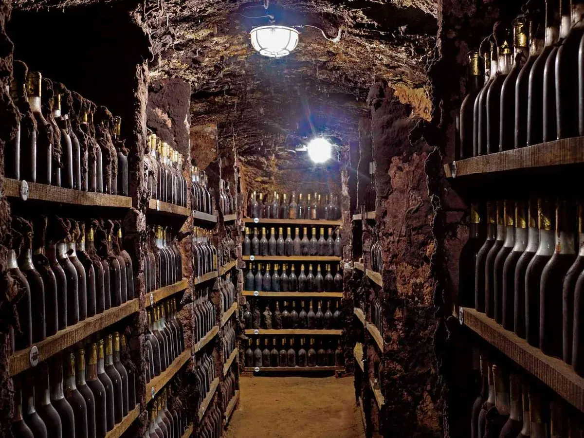 Paris wine thieves strike again: Expensive bottles vanish from restaurant cellar