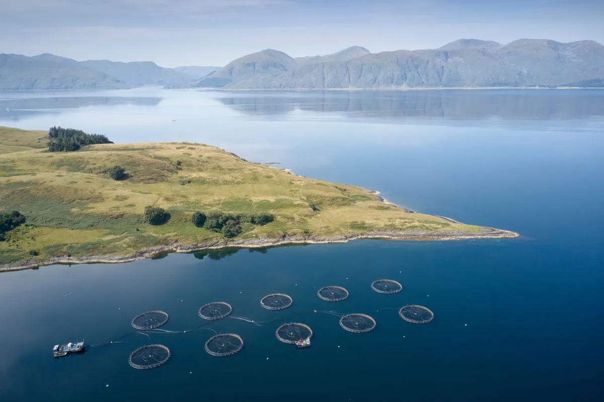 House of Lords vote puts Scottish salmon farming future at risk