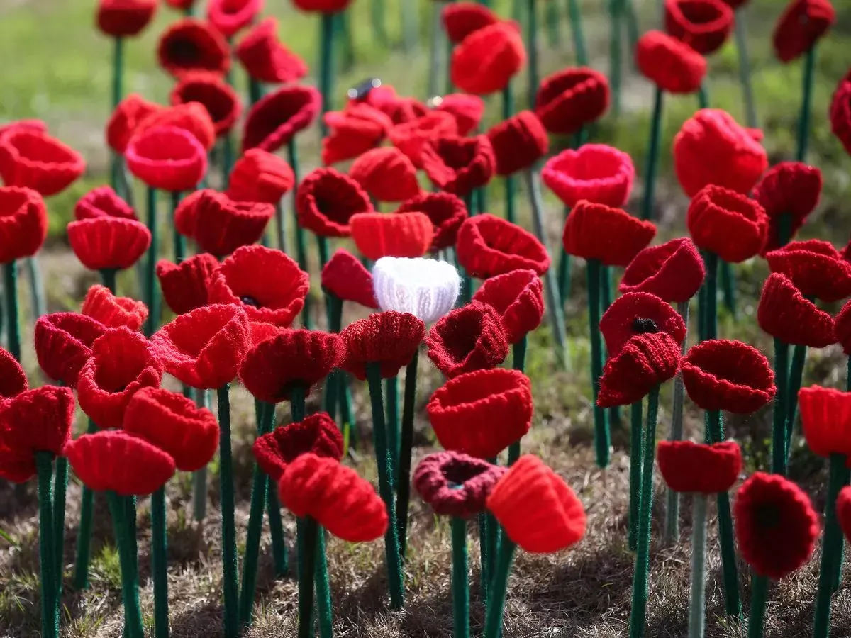 New push to change traditional Remembrance Day sparks debate across Britain