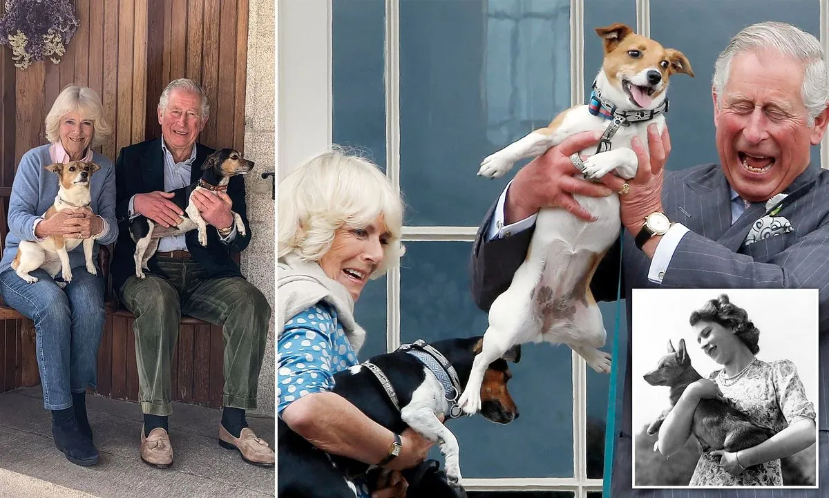 Queen's rescue dog Beth dies after 13 years of royal companionship