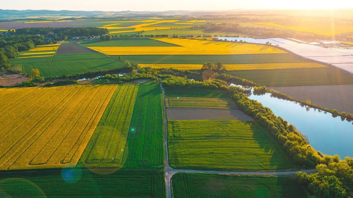 UK farm inheritance tax dispute: Government numbers dont add up for experts