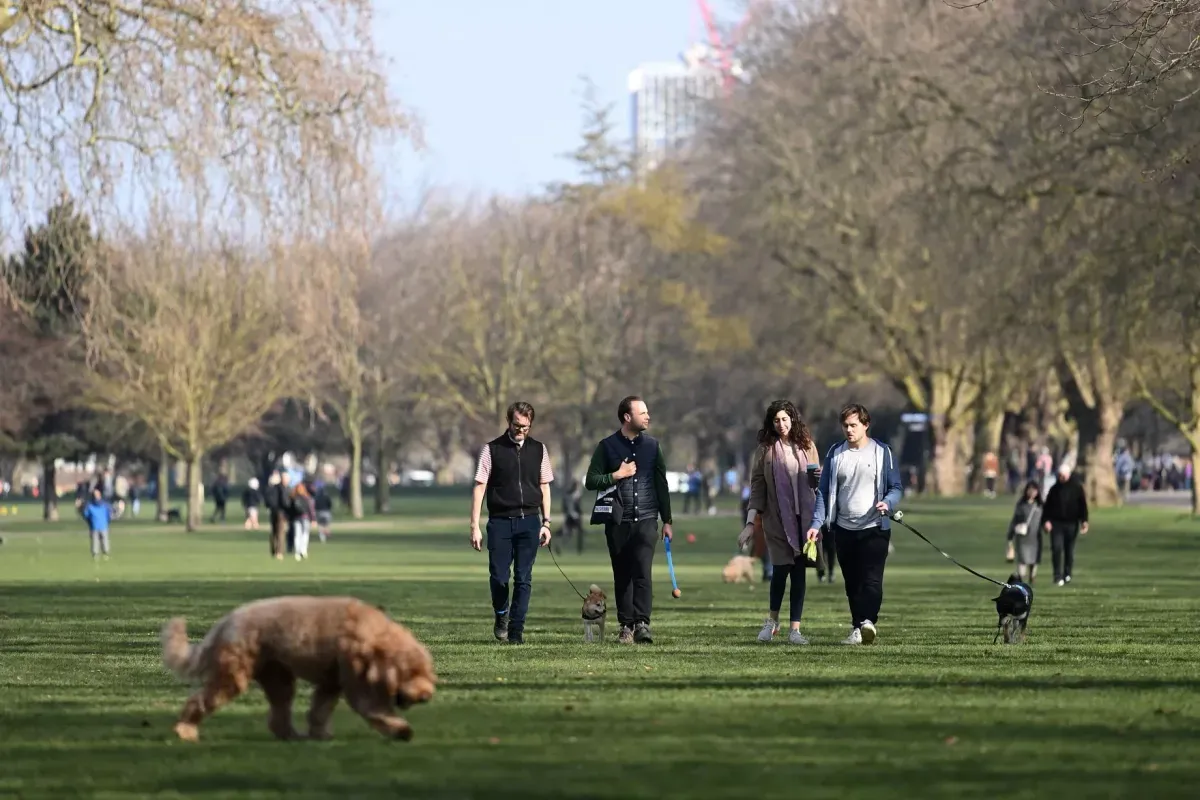 London council's new pet rules make dog owners nervous about park walks